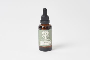 Imagen de Thuja  10cc