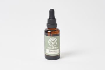 Imagen de Digestivo Hepatoprotector  TM