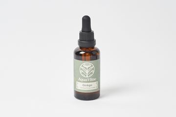 Imagen de Ginkgo Biloba