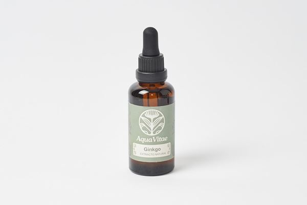 Imagen de Ginkgo Biloba