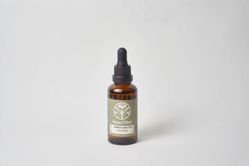 Imagen de Passiflora