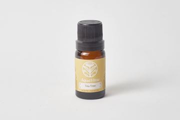 Imagen de Tea Tree